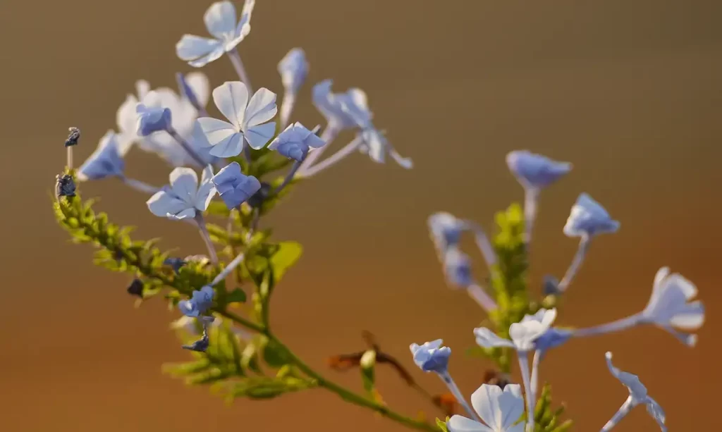 976920-22092015-dsc_3458