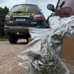 WhatsApp Image 2026-02-21 at 21.30.34